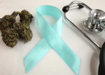 kanapių aliejus nuo vėžio