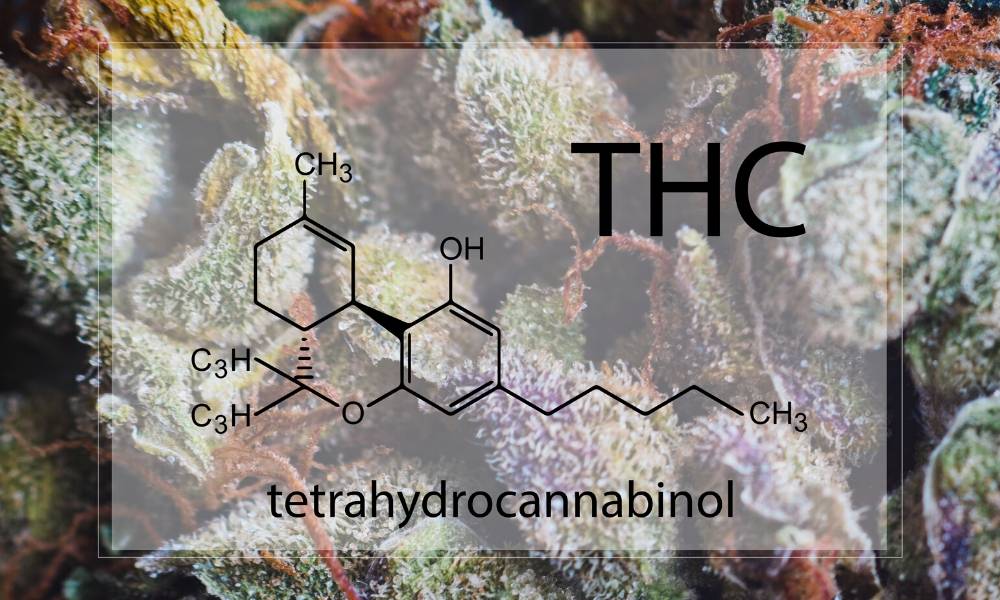 Tyrimų rezultatai rodo, kad THC užteršta sperma gali būti dažno marihuanos vartojimo šalutinis poveikis 1