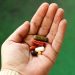 cbd antidepresantai cbd antidepresantai