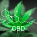 cbd poveikis min cbd poveikis