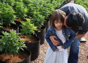 charlottes web cbd aliejus Charlotte Figi, mergina, įkvėpusi CBD judėjimą, mirė sulaukusi 13 metų