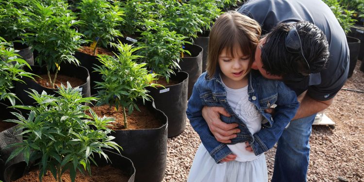 charlottes web cbd aliejus Charlotte Figi, mergina, įkvėpusi CBD judėjimą, mirė sulaukusi 13 metų