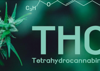 thc Tetrahidrokanabinolis thc Tetrahidrokanabinolis