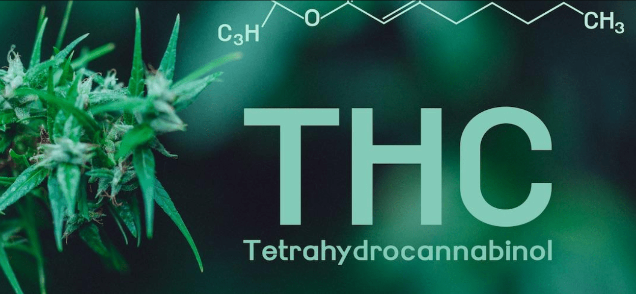 thc Tetrahidrokanabinolis