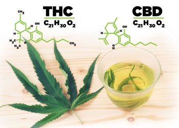 thc ir cbd skirtumai