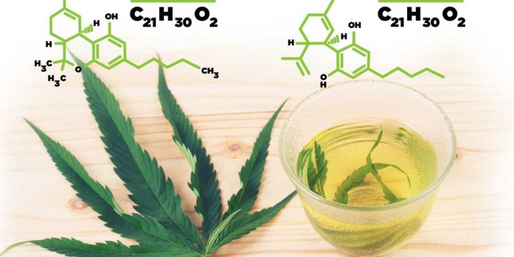 thc ir cbd skirtumai