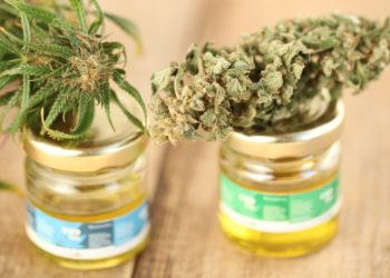 16 medicininė marihuana vaikams