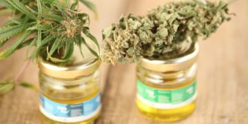 16 medicininė marihuana vaikams