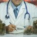 medicinine marihuana adhd Ar marihuana gali gydyti ADHD?