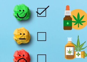 CBD kanabinoidų įvertinimas