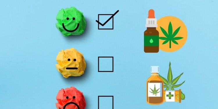 CBD kanabinoidų įvertinimas