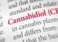 Kaip vartotojai vartoja CBD? 7 pagrindinės tendencijos Europoje