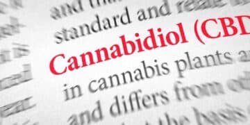 Kaip vartotojai vartoja CBD 7 pagrindines tendencijos Europoje Kaip vartotojai vartoja CBD? 7 pagrindinės tendencijos Europoje