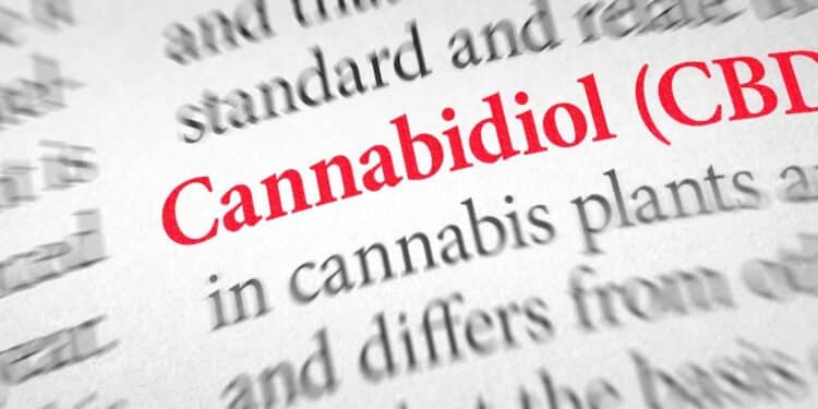 Kaip vartotojai vartoja CBD 7 pagrindines tendencijos Europoje Kaip vartotojai vartoja CBD? 7 pagrindinės tendencijos Europoje