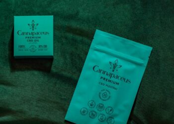 CBD aliejai CBD aliejai: kaip pasirinkti geriausios kokybės produktą?